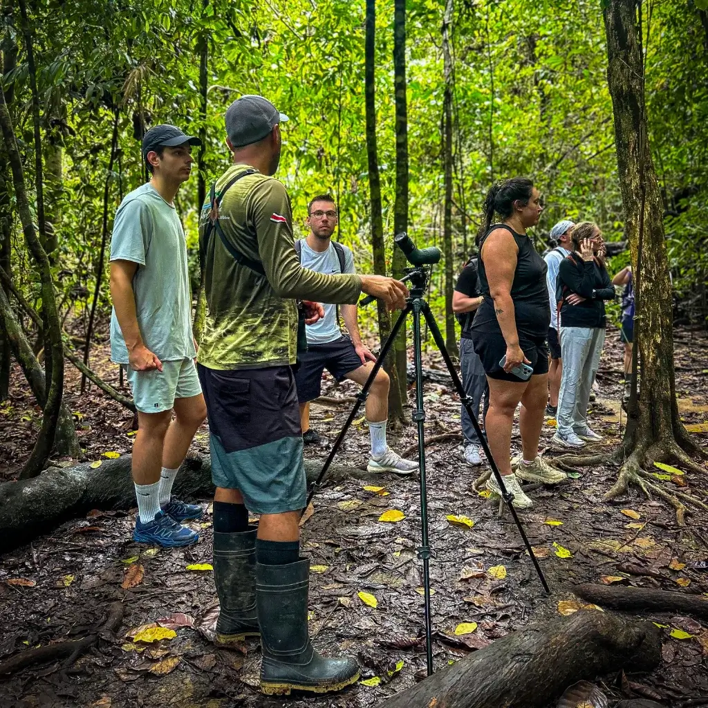 Corcovado rainforest hiking tour