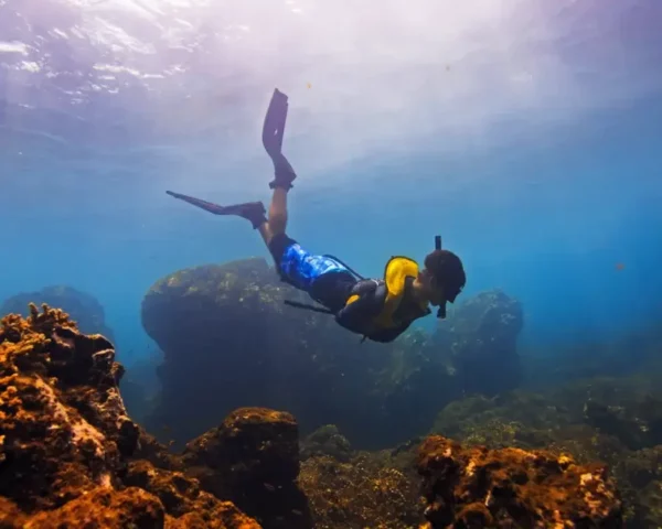 Snorkeling Cano Island in Costa Rica