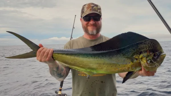 Dorado sport fishing in Uvita, Costa Rica